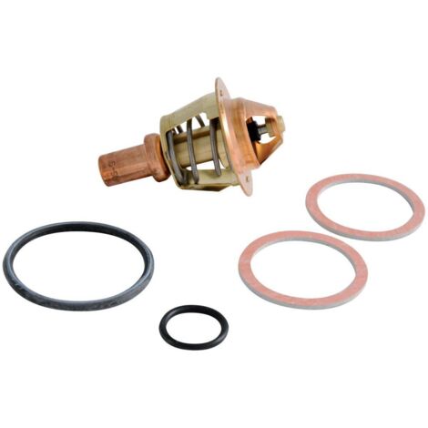 Frisquet – Clapet thermostat 60°C avec joint – Clapet thermostatique pour chaudières – Filetage plomberie – Compatible séries HYDROMOTRIX, GAZLINER, PRESTIGE - F3AA40021