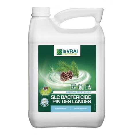 Détergent bactéricide pour nettoyeur haute pression – Spécial bois et surfaces délicates – Nettoyage efficace et rapide – Action Pin (1/4)
