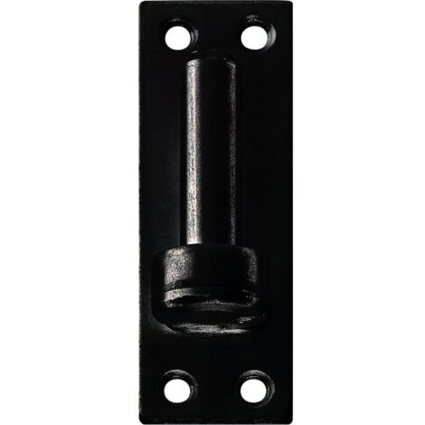 Torbel – Gond de porte sur plaque rectangulaire noir 130mm – Finition cataphorèse – Fixation à vis – Ø14mm – 6120144