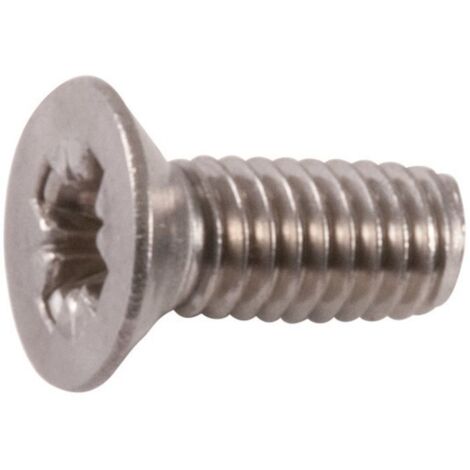 Vis métal inox PZTF 6x30 /100 (1/2)