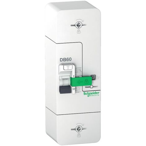 Schneider Electric – Disjoncteur unipolaire 1P+N 500mA 15/30/45A – Courbe de déclenchement instantanée – Pour installations électriques – R9FT645