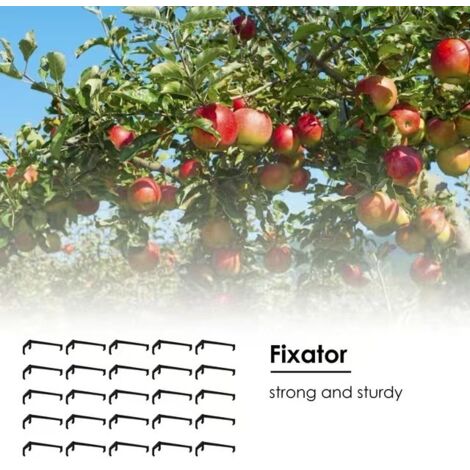 Support Pour Branches D'Arbres Fruitiers - Lot De 5 Supports Métalliques Réglables Anti-Rouille - Jardin - 12