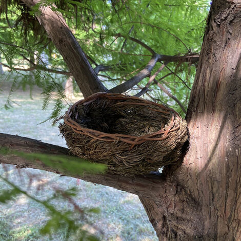 Popular pine needle woven bird nest, parrot nest, small bird nest, incubator, warm bird nest (1/5)