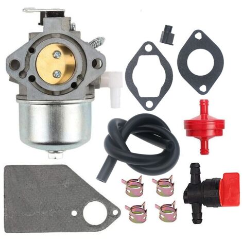 690119 694526 690115 690111 Carburateur 10 CV 5-4993 Moteur de tracteur (1/5)