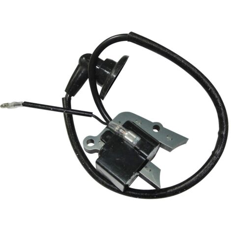 Le transformateur haute tension de la bobine d'allumage convient aux sèche-cheveux 145BT 531 00 33-84. (1/2)