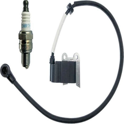 Transformateur haute tension de bobine d'allumage adapté aux souffleurs 150BT, 350BT, 150BF et 350BF avec bougies d'allumage. (1/3)
