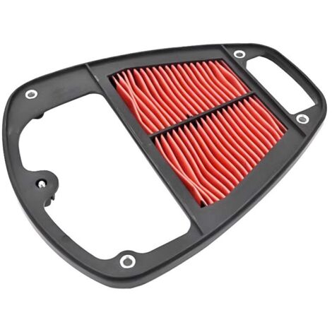 Élément de filtre à air pour Kawasaki VN900 et Vulcan 900 (06-21) (1/4)