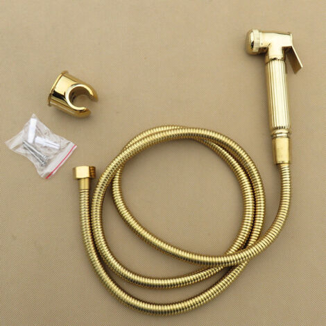 Ensemble d'accessoires pour bidet, pistolet de douchette pressurisé, pommeau de douche et robinet d'angle, style européen antique, bronze doré, petit pommeau de douche et WC.