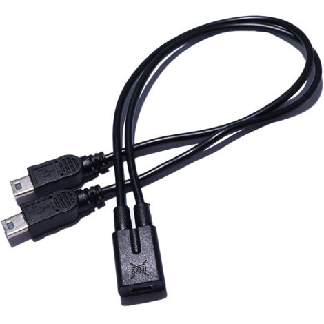 Connecteur femelle Mini 5p vers double connecteur mâle Type-C et connecteur mâle Mini 5p pour charger tablettes, téléphones et jouets. (1/5)