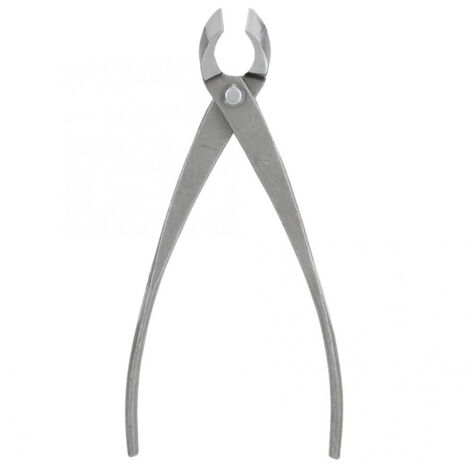 En stock : outils pour bonsaï, sécateurs de jardin, cisailles biseautées pour plantes en pot, pinces à branches d'entrée de gamme, cisailles à boule pour bonsaï, sécateurs à creuser. (1/5)