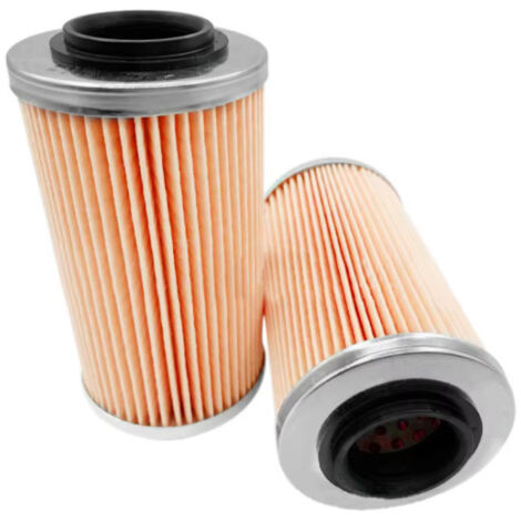420956740 711956740 420956741 711956741 Filtre à huile pour moto (un) (1/5)