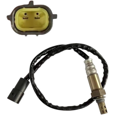 Capteur d'oxygène 2 broches M12 A128121000S compatible avec 14,50 ohms 4 2018 180613 (1/2)