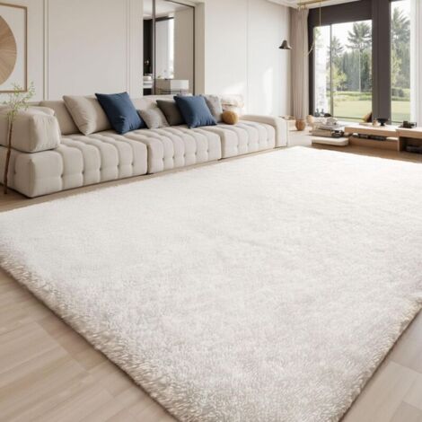 Tapis 120x160cm - Tapis salon en peluche épaisse ultra- douce antidérapant pour Salon, Chambre ou Couloir - Grand Tapis de Sol à Poils Longs (1/4)