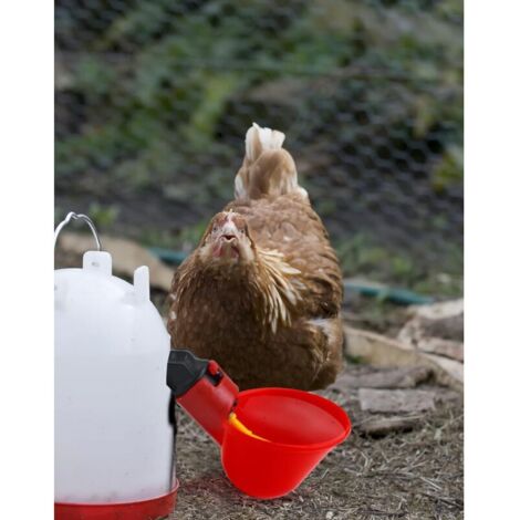 Poulet canard tasse à boire abreuvoir automatique mangeoire à poulet en plastique ferme de volaille eau potable tasses distributeur d'eau pour caille d'oie 15 Poulet canard tasse à boire abreuvoir automatique mangeoire à poulet en plastique ferme de volaille eau potable tasses distributeur d'eau pour caille d'oie 15