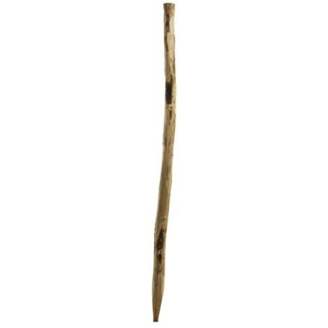 Poteau noisetier pour clôture ganivelle H 1m80 (1/3)