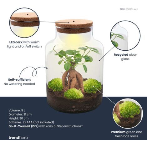 Milky Palm Terrarium Zelf Maken Jardin En Bouteille Milky - Diy Terrarium Végétal - 30 Cm - Avec DIY Terrarium Milky Palm