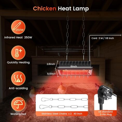 Illustration of Heating Chicken Coops With Renewable Energy