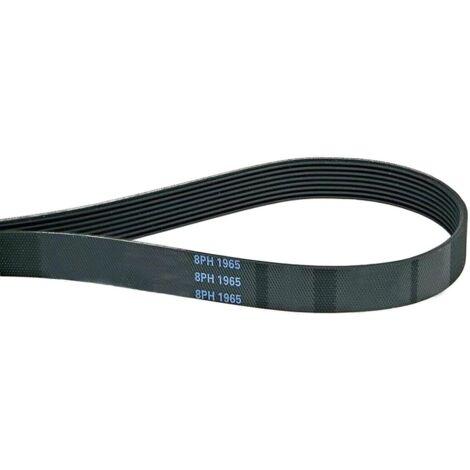 1965 PH 8 Dryer Belt (1965mm, 8PH) (1/4)
