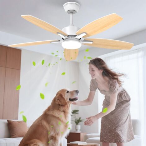 106cm Silent Ceiling Fan with Light, Double-Sided LED Ceiling Fan with Remote Control and Reversible DC Motor for Bedroom, Living Room, Kitchen, 6 Speeds (1/5)