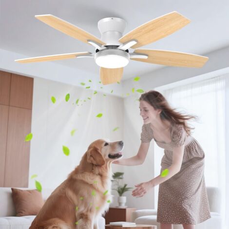 106cm Silent Ceiling Fan with Light, Double-Sided LED Ceiling Fan with Remote Control and Reversible DC Motor for Bedroom, Living Room, Kitchen, 6 Speeds (1/5)