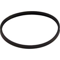 Wolf Dichtung für Abgasrohr D125 für TGB - 390303899
