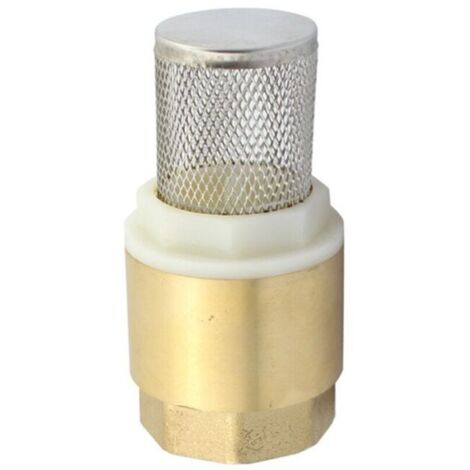 Clapet Anti Retour Avec Filtre En Acier Inoxydable, 1 Vanne Non Retour Avec Raccord De Tuyau Collier De Serrage Clapet De Pied Vanne De Pied En Laiton Pour Pompe A Eau Tuyau Arrosage 90694475