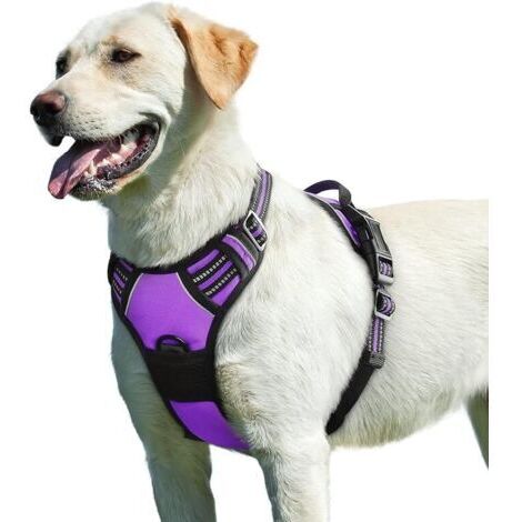 Violet, L , Harnais Chien, Harnais Anti Traction pour Chien Réfléchissant Réglable, Facile à Mettre, avec Poignée Contrôle, Arnet pour Chien Respirant, Durable, Harnais pour Chien Moyen et Grand (1/5)