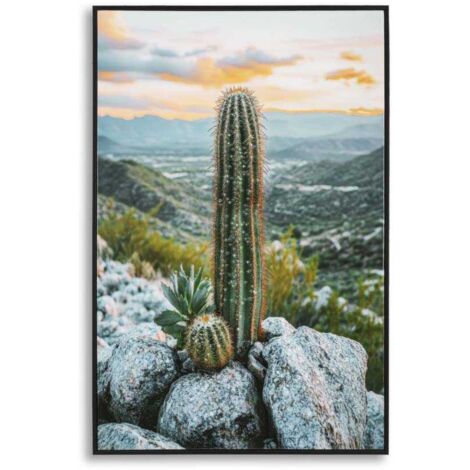 Toile décorative avec cadre Cactus 60 x 4 x 90 cm Modèle 1