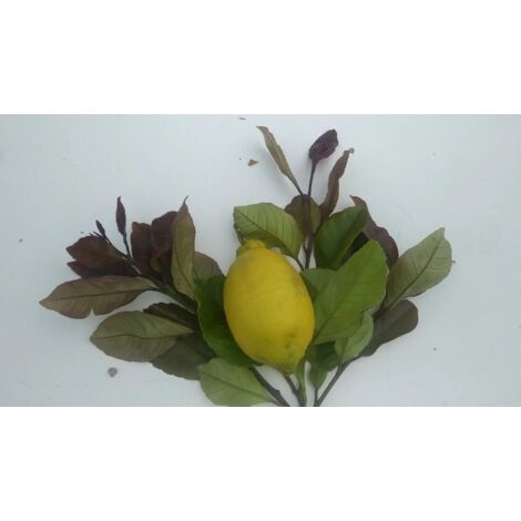 Howngyesimu - Albero Di Limone Artificiale 1,2 Metri, Con Frutti E Vaso