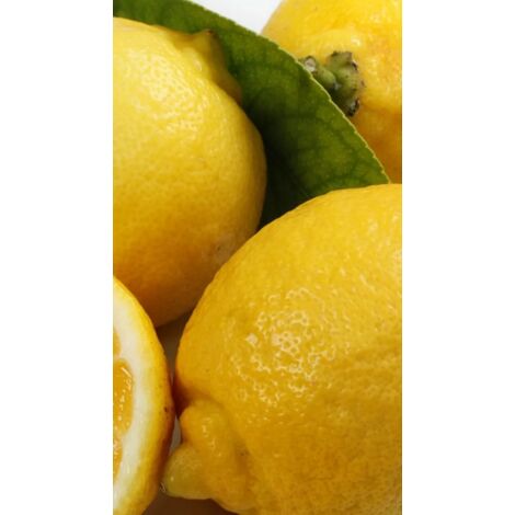 Limone di Sorrento: la perla della Costiera Limone di Sorrento: la perla della Costiera