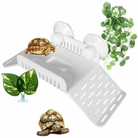 Plate-forme de natation tortue grenouille plate-forme de repos d'aquarium plate-forme de natation tortue avec échelle de rampe pour ornement d'aquarium de tortue amphibie (1/5)