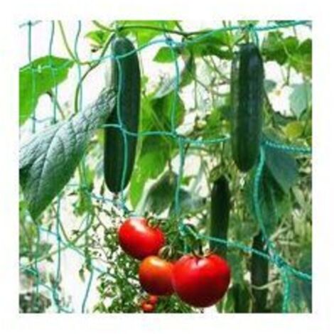 Filet à Ramer avec Maillage Large pour Une récolte particulière Bonne de concombres, tomates et Autres légumes et Plantes grimpantes – Dimensions : 1.82.7m (1/4)
