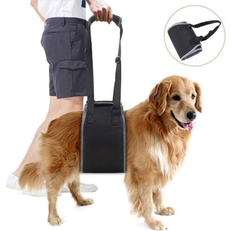 Harnais de Soutien pour Chien Âgé, Ceinture de Levage pour Chiens Handicapés, Noir, Aide à Monter et Descendre (1/4)