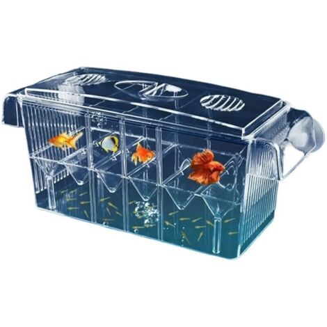 Boîte d'élevage en plastique pour poissons d'aquarium, boîte d'isolement et incubateur pour bébés crevettes-clowns et guppysBoîte d'élevage en plastique pour poissons d'aquarium (1/4)