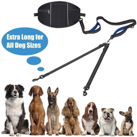 SABIR Laisse Double pour 2 Chiens, Promener Laisse de Chien pour Chiens Jusqu'à 50kg/180lbs, avec Sac Banane de Sport, Laisse réglable, Réfléchissante, Pas emmêlé (1/5)