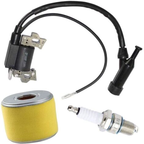 SABIR Compatible avec le rotor de générateur de moteur Honda GX120 GX160 GX200 4589693 30500-ZE1-073 bobine d'allumage (1/5)