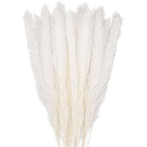 SABIR Bouquet de fleurs séchées 30 pcs herbe de pampa 58 cm – Couleur blanche – Pour décoration intérieure et mariages – Arrangements floraux (1/5)