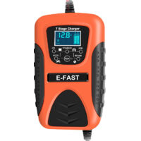 SJLERST Desulfator de batterie, chargeur de batterie de voiture 7 étapes pour bateau pour tondeuse à gazon pour moto