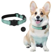SABIR Collier GPS pour chien