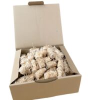 J'ENVOIE DU BOIS - Allume-feu Naturel Laine de Bois et Cire végétale - Boîte de 100 pièces - 1,5Kg - pour Poêle à Bois, Cheminée, Barbecue, Four à Pizza