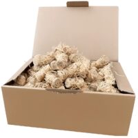 J'ENVOIE DU BOIS - Allume-feu Naturel Laine de Bois et Cire végétale - Boîte de 170 pièces - 2,2Kg - pour Poêle à Bois, Cheminée, Barbecue, Four à Pizza