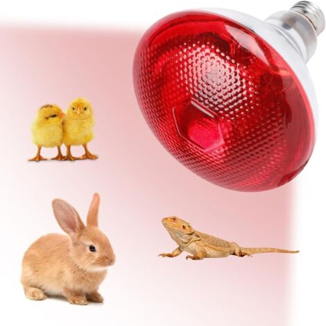 Lampe Chauffante Infrarouge 175W Pour Poussin Et Animaux - Thermostatique Automatique Poulailler