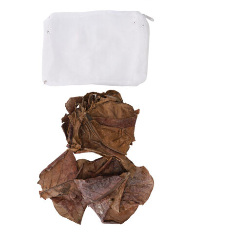Feuilles d'Alisier Tropical pour Aquarium – 100 % Naturelles, Acidifiantes, Sachet avec Filet Inclus (1/5)