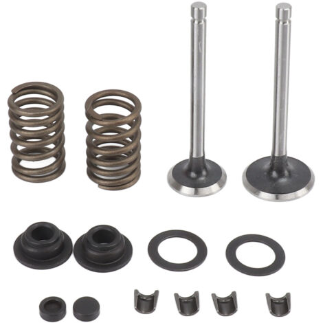 Kit de pièces de soupape pour motobineuse Microtiller, matériau fer résistant à l'usure et anti-corrosion, avec ressorts, rondelles, clips de blocage, pour générateur 186F (1/5)