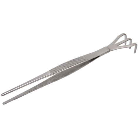 Râteau Racine 3 Branches Acier Inoxydable pour Bonsaï - Poignée Ergonomique, Outil de Jardinage pour Aérer et Désherber (1/5)