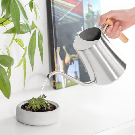 Arrosoir Intérieur Stainless Steel Bois Modèle LS-290 1L Design Minimaliste Long Bec Noir (1/5)