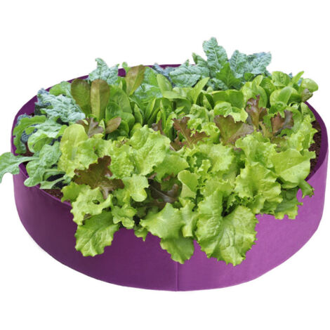 [Grow Bag] [Purple] Sac de Culture en Felt 127x30cm (100 Gallon) Épaisseur 1mm - Respirable pour Jardin (1/5)
