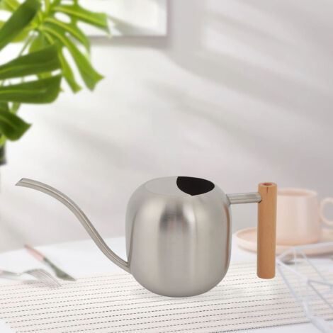 Arrosoir [Multifonction Grande Capacité] Pot d'Arrosage avec Bec Long pour Plantes Intérieur Extérieur 1200ML Argent (1/5)