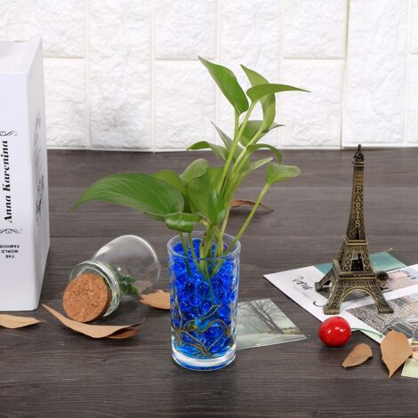 Perles de Gel Cristal d'Eau Kit Déco Écologique 3000 Billes Sky Blue Sol Hydratant Plantes Événements (1/3)