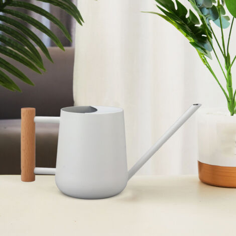 Arrosoir 900ml Stainless Steel Long Spout avec Manche Bois Élégant pour Jardins Extérieur Plantes (1/5)